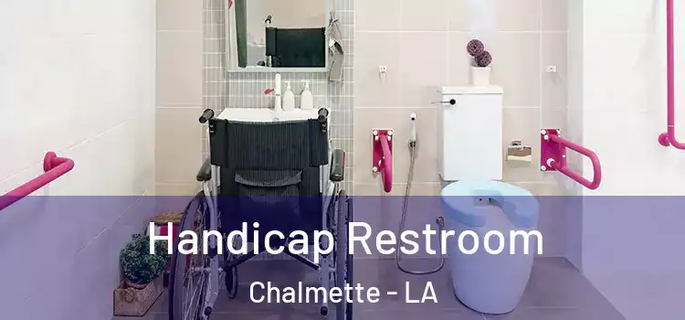 Handicap Restroom Chalmette - LA